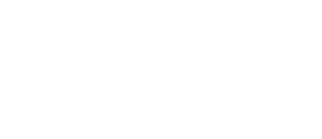 X1 Logo_white